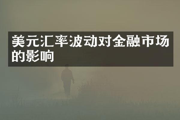 美元汇率波动对金融市场的影响