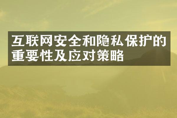 互联网安全和隐私保护的重要性及应对策略