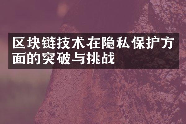 区块链技术在隐私保护方面的突破与挑战