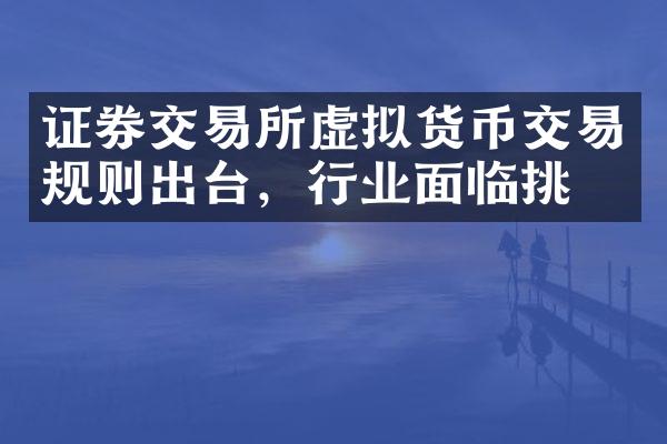 证券交易所虚拟货币交易规则出台，行业面临挑战