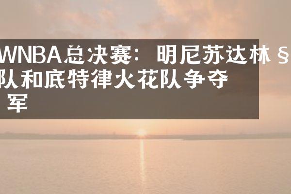 WNBA总决赛：明尼苏达林种队和底特律火花队争夺冠军