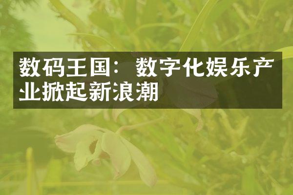 数码王国：数字化娱乐产业掀起新浪潮