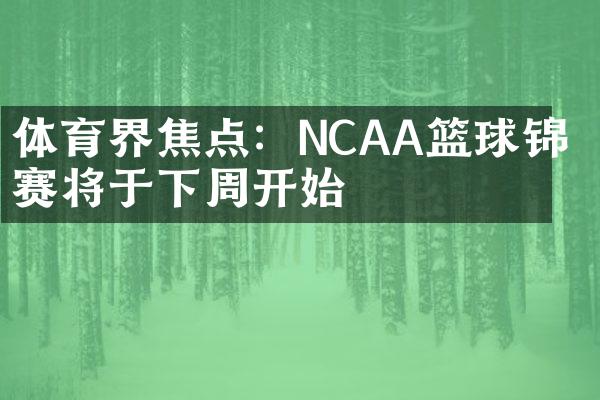 体育界焦点：NCAA篮球锦标赛将于下周开始