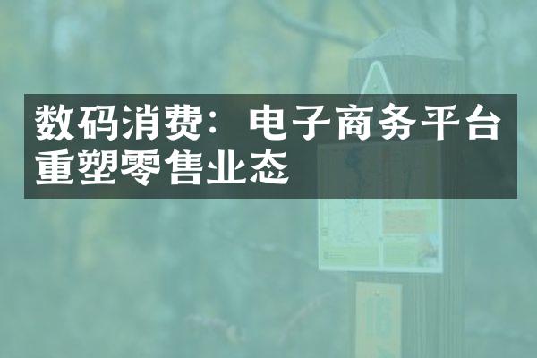 数码消费：电子商务平台重塑零售业态