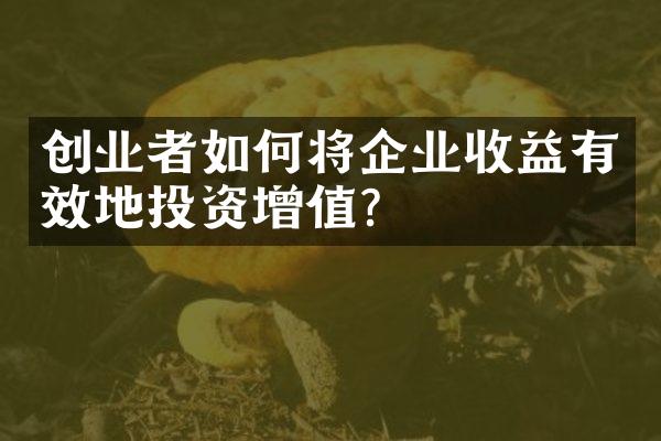 创业者如何将企业收益有效地投资增值？