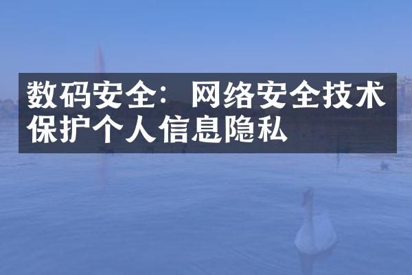 数码安全：网络安全技术保护个人信息隐私