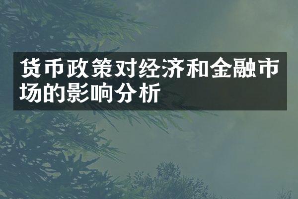 货币政策对经济和金融市场的影响分析