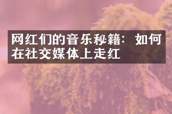 网红们的音乐秘籍：如何在社交媒体上走红