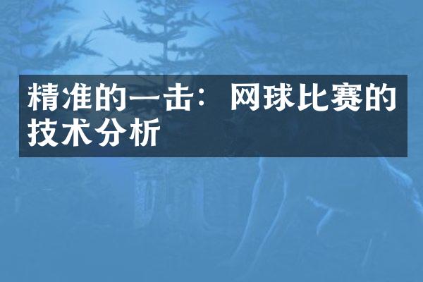 精准的一击：网球比赛的技术分析