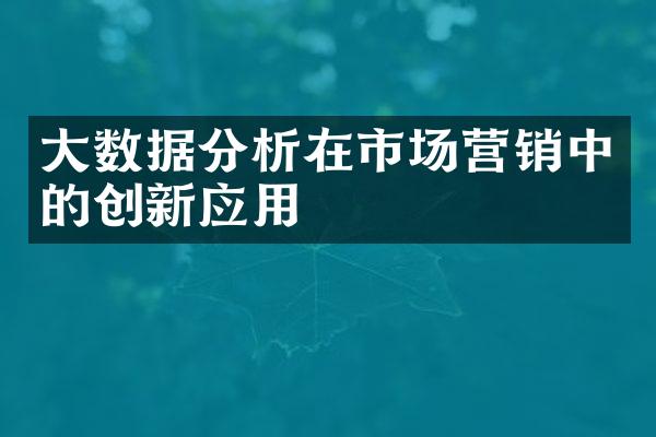 大数据分析在市场营销中的创新应用