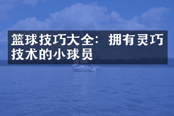 篮球技巧大全：拥有灵巧技术的小球员