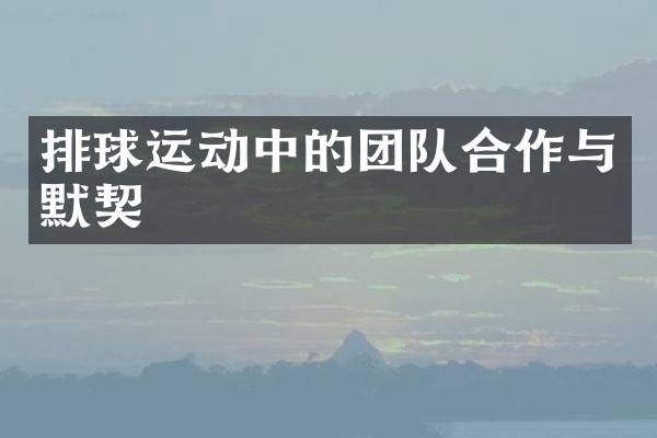 排球运动中的团队合作与默契