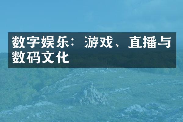 数字娱乐：游戏、直播与数码文化