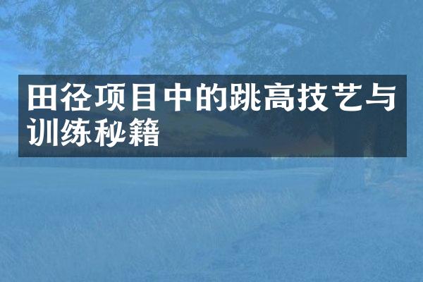 田径项目中的跳高技艺与训练秘籍