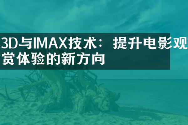 3D与IMAX技术：提升电影观赏体验的新方向