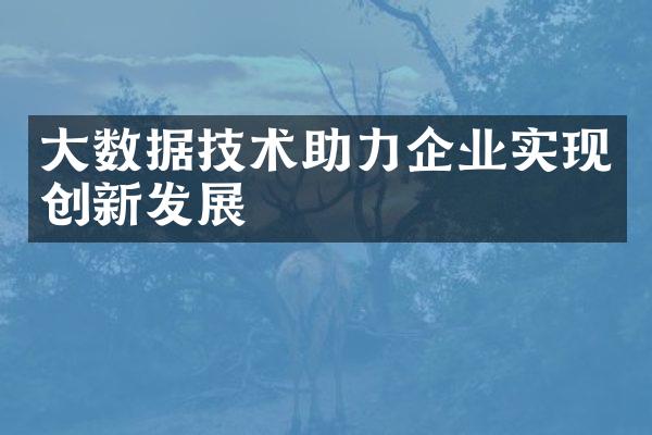 大数据技术助力企业实现创新发展