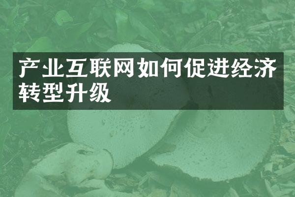 产业互联网如何促进经济转型升级