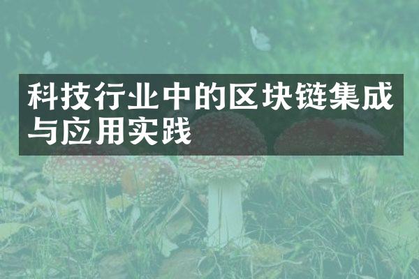 科技行业中的区块链集成与应用实践