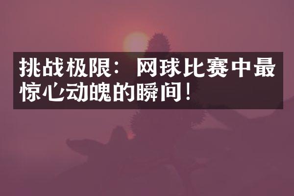 挑战极限：网球比赛中最惊心动魄的瞬间！