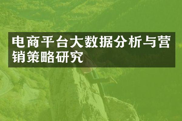 电商平台大数据分析与营销策略研究