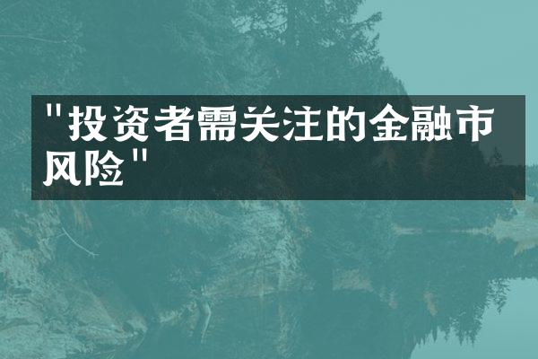 "投资者需关注的金融市场风险"