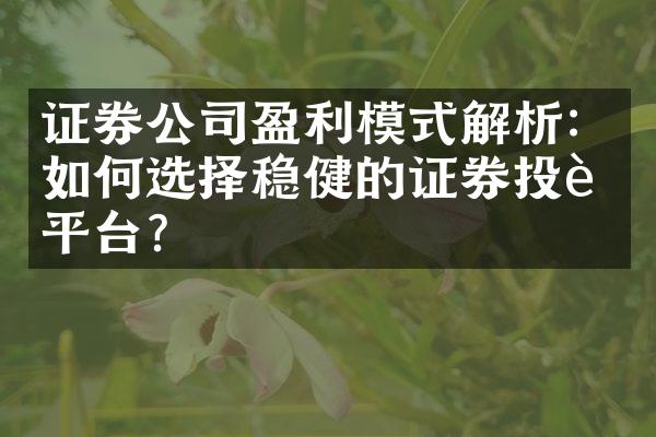 证券公司盈利模式解析：如何选择稳健的证券投资平台？