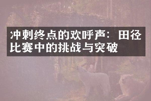 冲刺终点的欢呼声：田径比赛中的挑战与突破