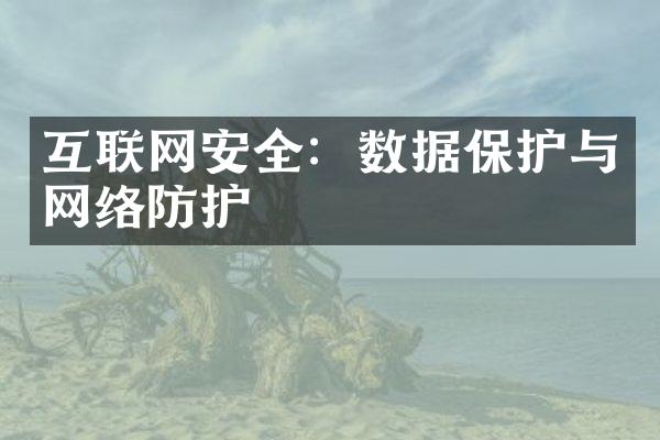 互联网安全：数据保护与网络防护