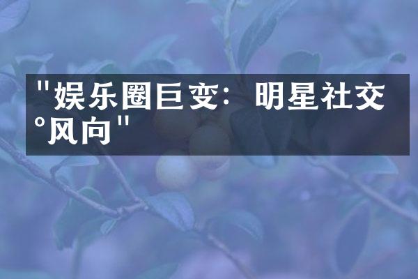 "娱乐圈巨变：明星社交新风向"