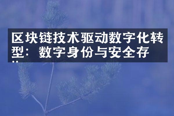 区块链技术驱动数字化转型：数字身份与安全存储