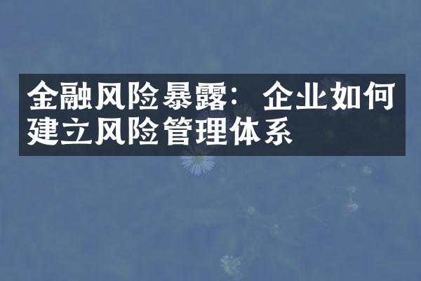 金融风险暴露：企业如何建立风险管理体系