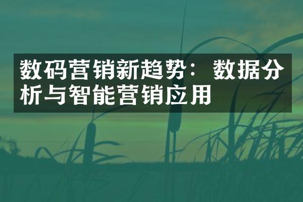 数码营销新趋势：数据分析与智能营销应用