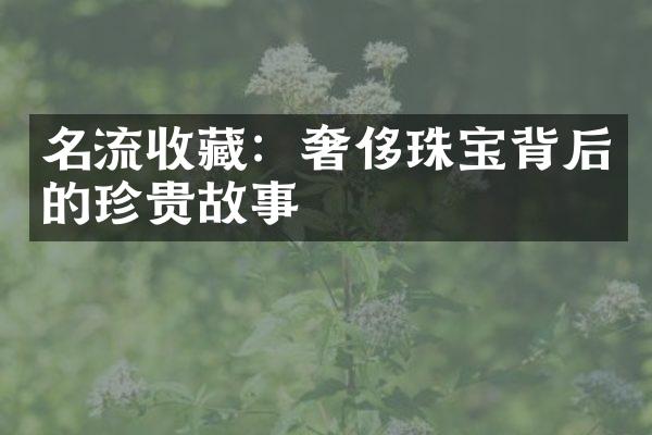 名流收藏：奢侈珠宝背后的珍贵故事