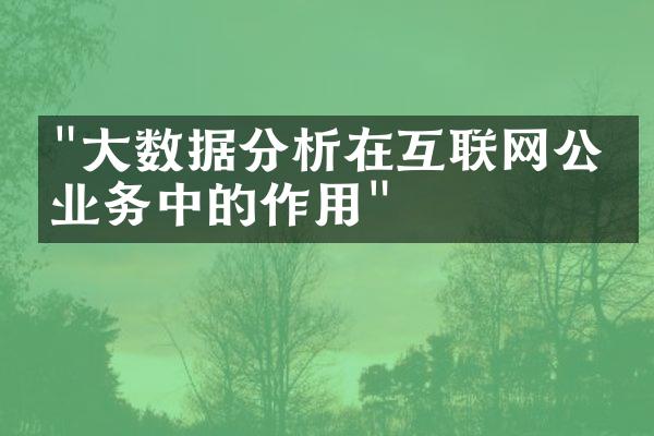 "大数据分析在互联网公司业务中的作用"