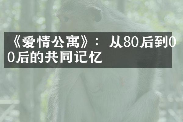 《爱情公寓》：从80后到00后的共同记忆