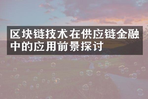 区块链技术在供应链金融中的应用前景探讨