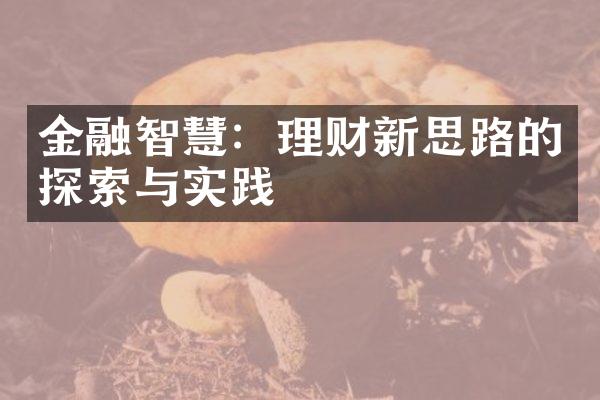 金融智慧：理财新思路的探索与实践