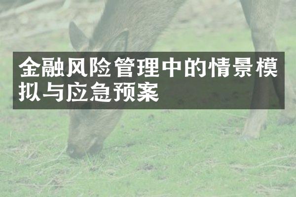 金融风险管理中的情景模拟与应急预案