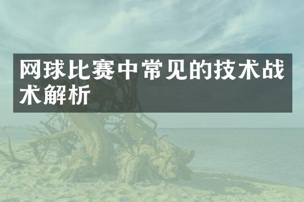 网球比赛中常见的技术战术解析