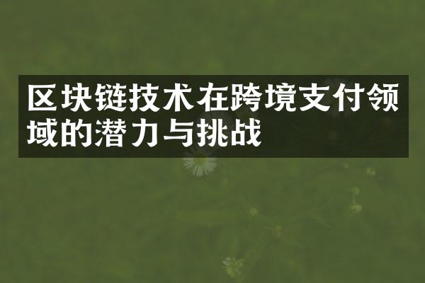 区块链技术在跨境支付领域的潜力与挑战