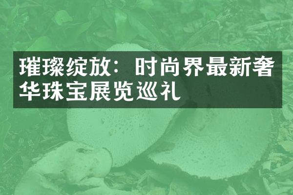 璀璨绽放：时尚界最新奢华珠宝展览巡礼