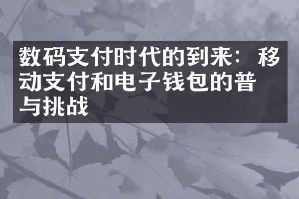 数码支付时代的到来：移动支付和电子钱包的普及与挑战