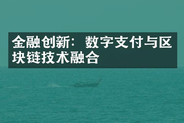 金融创新：数字支付与区块链技术融合