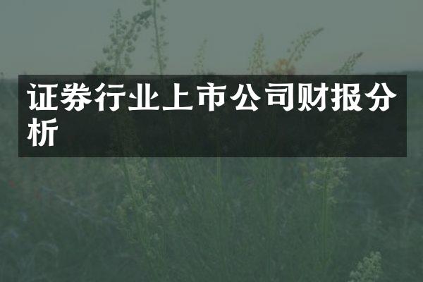 证券行业上市公司财报分析