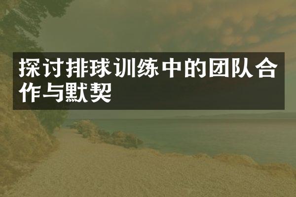 探讨排球训练中的团队合作与默契