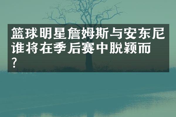 篮球明星詹姆斯与安东尼谁将在季后赛中脱颖而出？