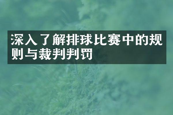 深入了解排球比赛中的规则与裁判判罚