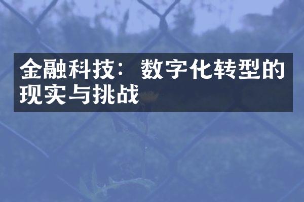 金融科技：数字化转型的现实与挑战