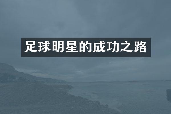 足球明星的成功之路