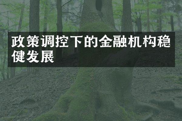 政策调控下的金融机构稳健发展